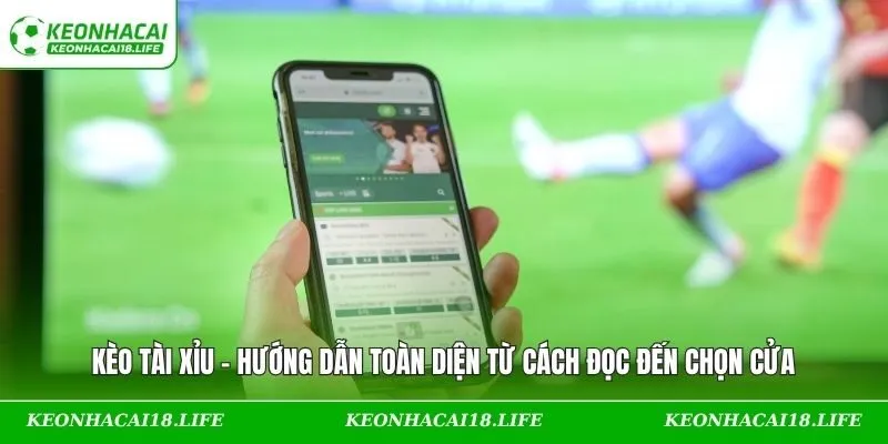 Kèo Tài Xỉu – Hướng Dẫn Toàn Diện Từ Cách Đọc Đến Chọn Cửa